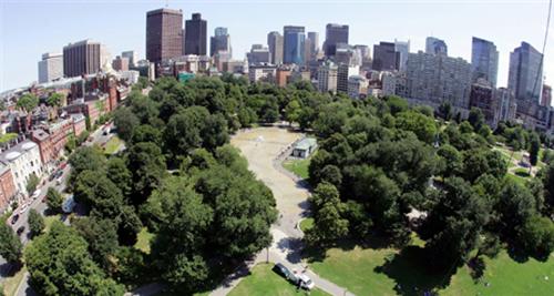 6a19b127cbb045bc81fbb29f4057525f