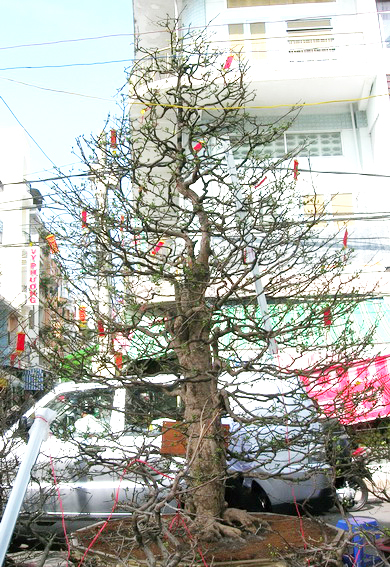 450-trieu-6855-1390377383