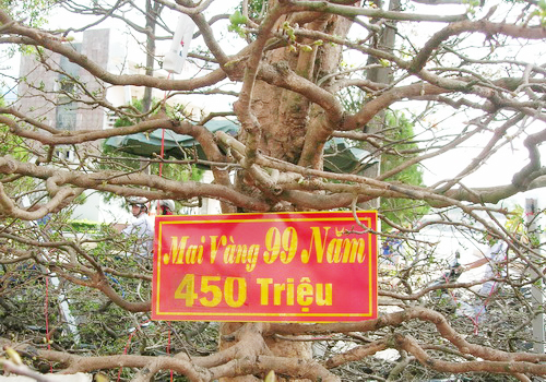 99-nam-9384-1390377383