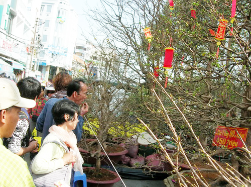 ngam-mai-2753-1390377383