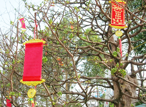 nu-hoa-9068-1390377383