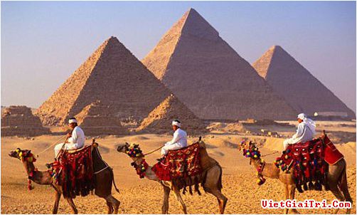 1128_cr_54828ca9b172a