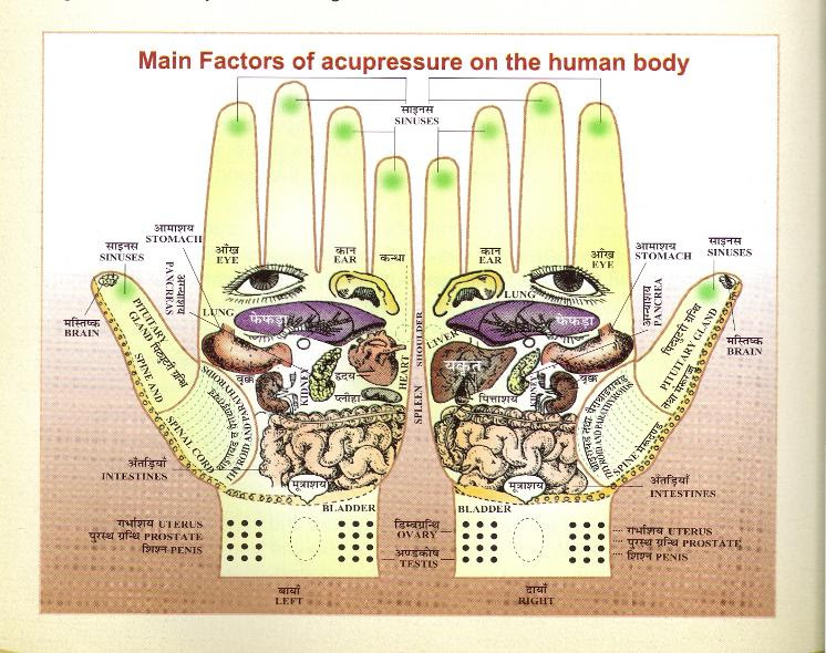 Main_Factores