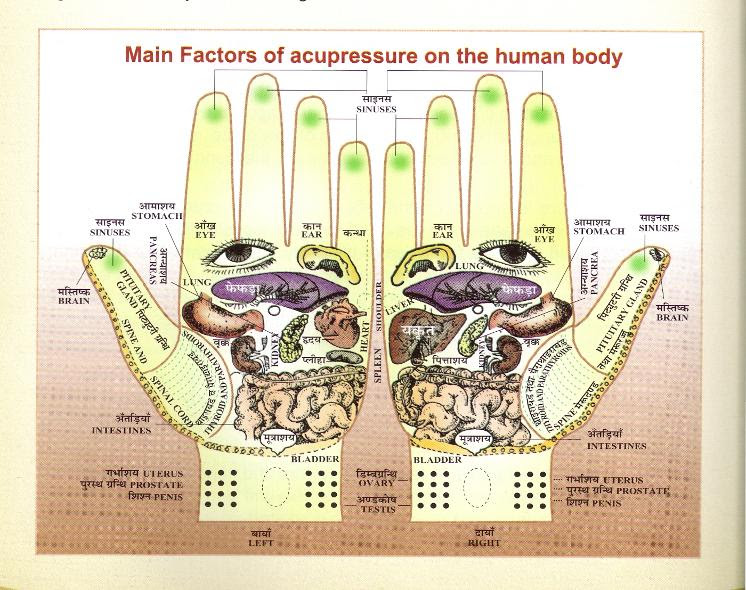 Main_Factores