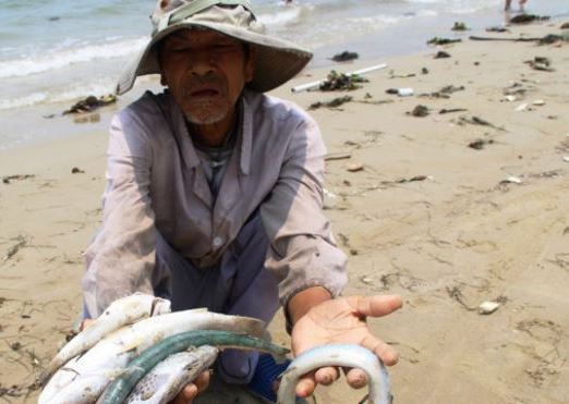 vietnam_fish_die-off_man_640x3
