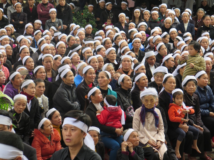 Vinh-chaHong-03