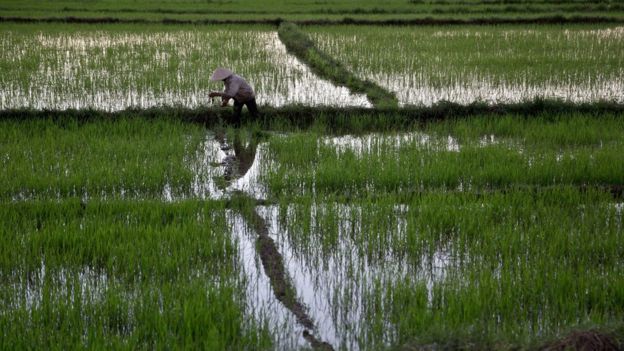 _93590735_gettyimages-479973788