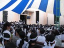 IMG_0062_800x600