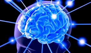 Healthy_brain
