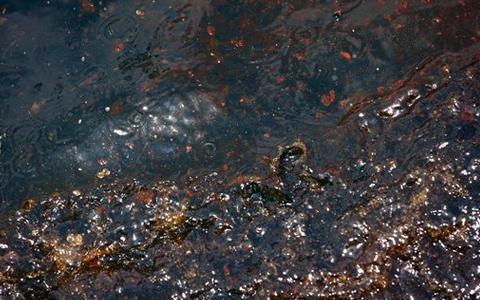 gulfoilspill_480x300_copy